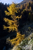 32__Autunno in val d'inferno